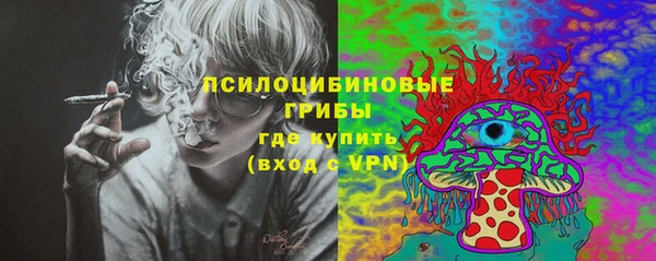 шишки Козловка